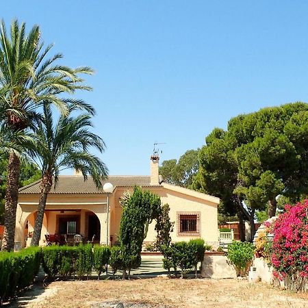 Villa Buganvilla Elche Exterior photo