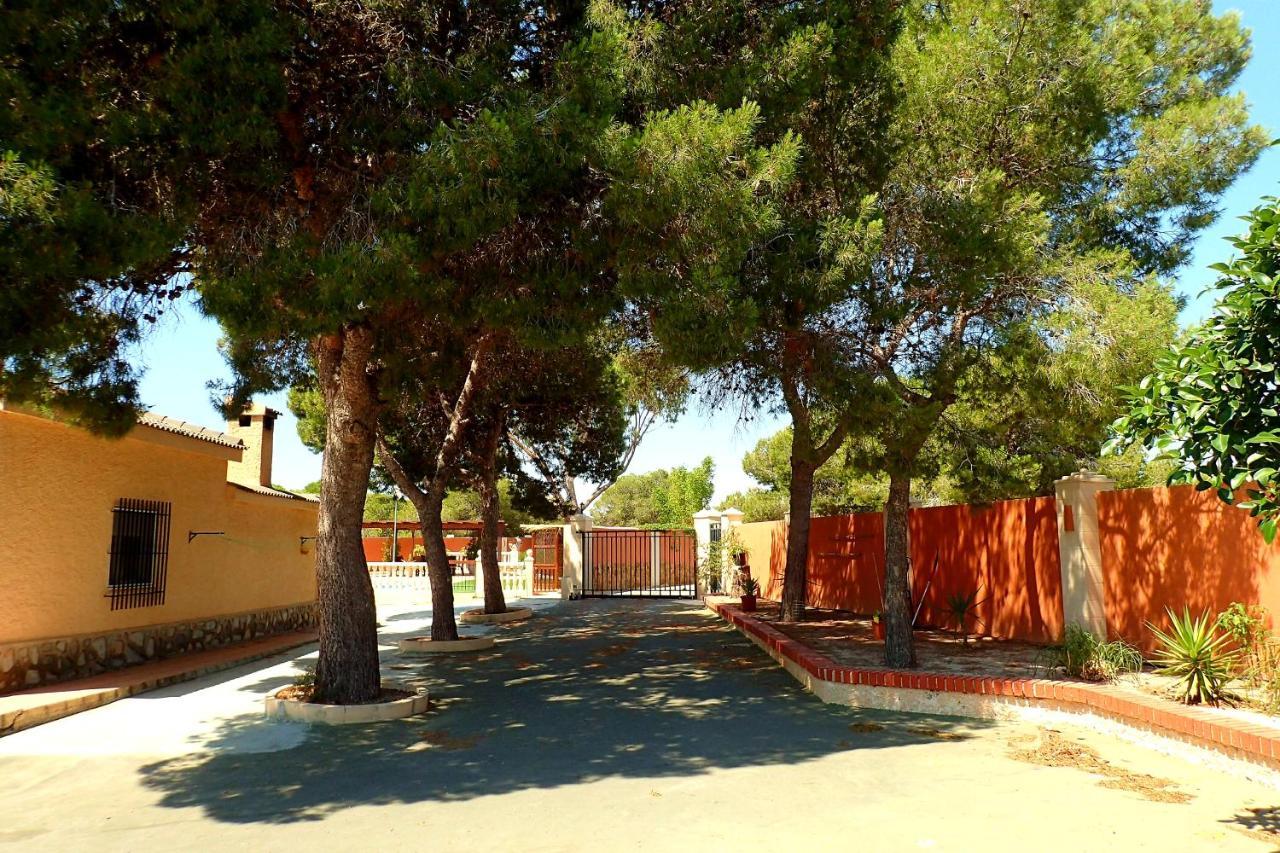 Villa Buganvilla Elche Exterior photo