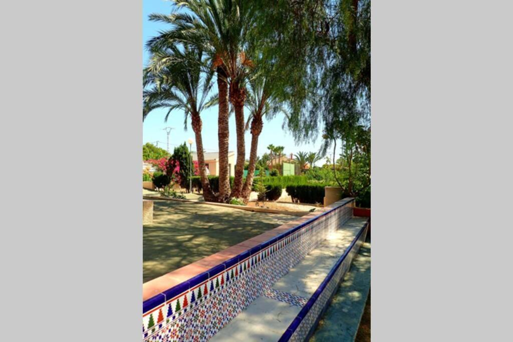 Villa Buganvilla Elche Exterior photo