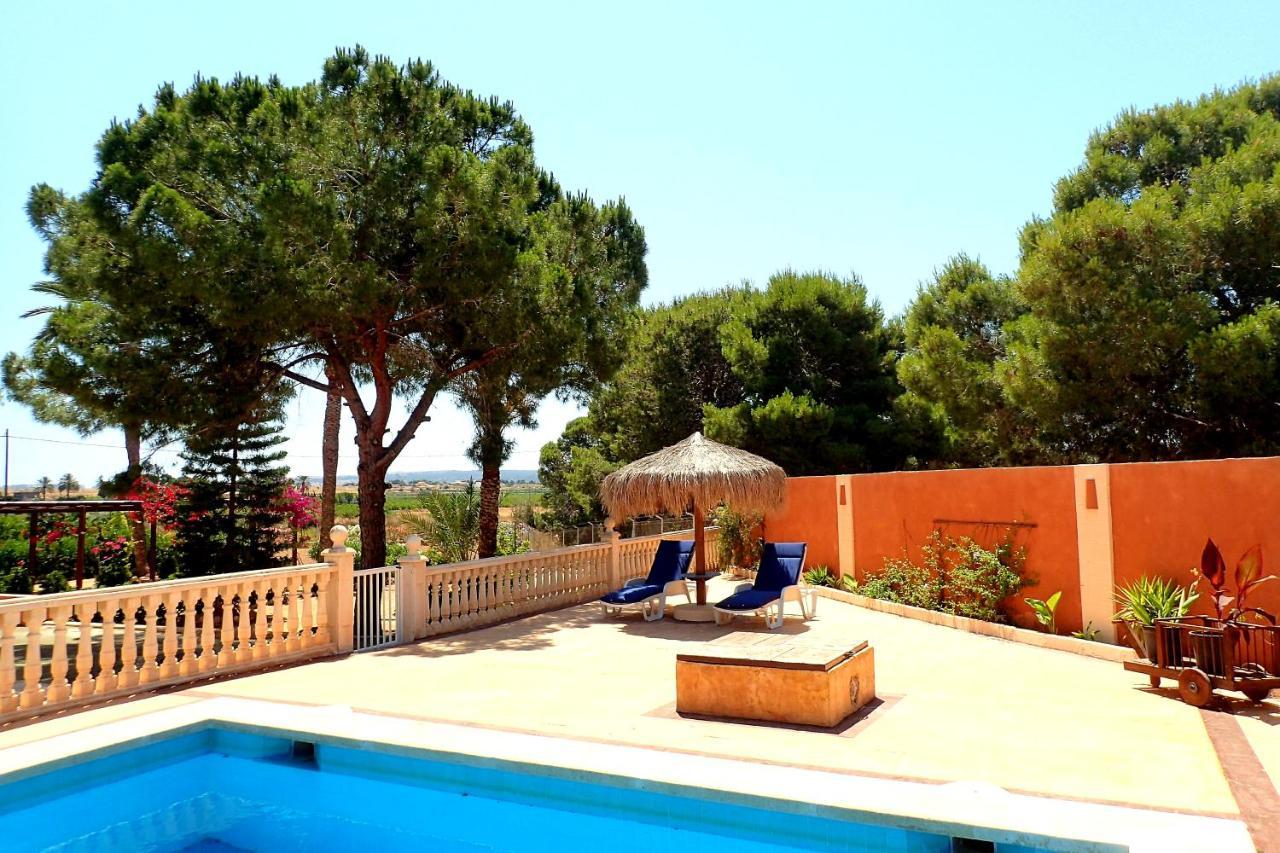 Villa Buganvilla Elche Exterior photo