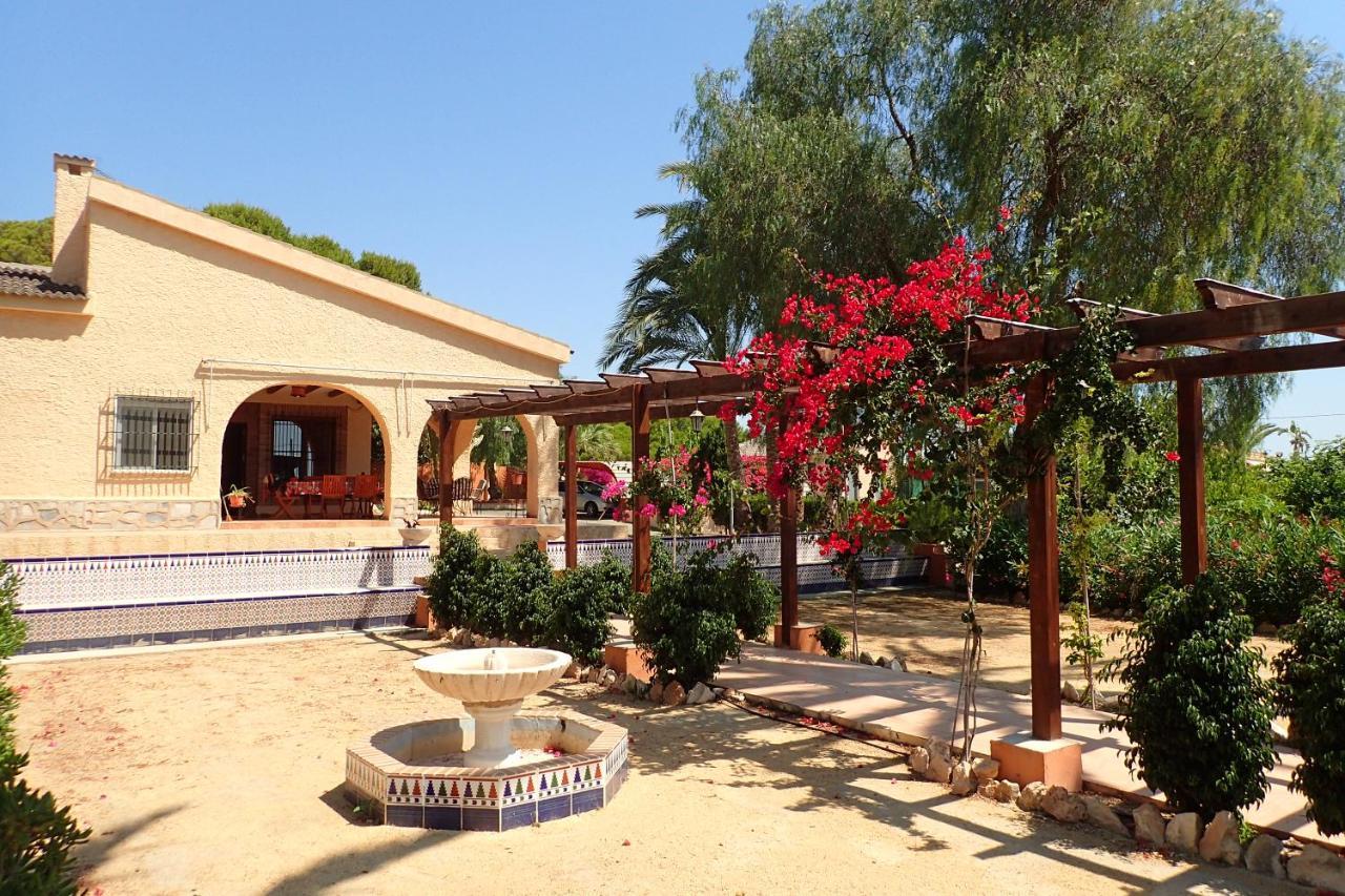 Villa Buganvilla Elche Exterior photo