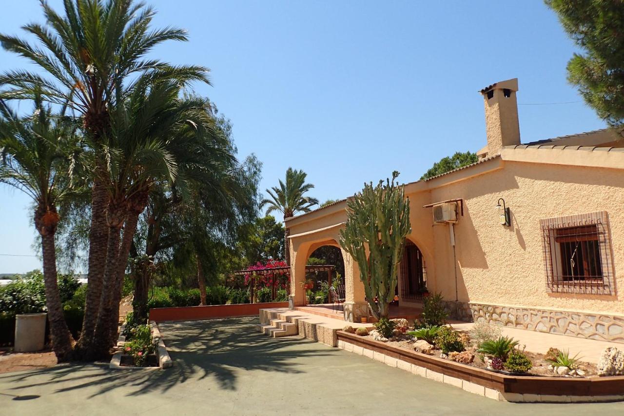 Villa Buganvilla Elche Exterior photo
